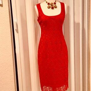 NWT Anne Klein lace overlay dress